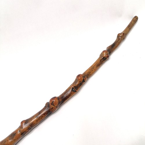 300 - Vintage hawthorn bowed walking stick - 88cm