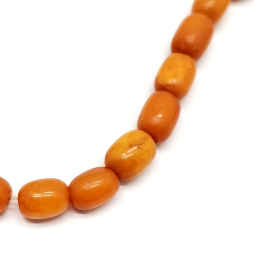 813 - Strand of butterscotch amber graduated beads (loosely strung) - total length 46cm & 19.5g total weig... 