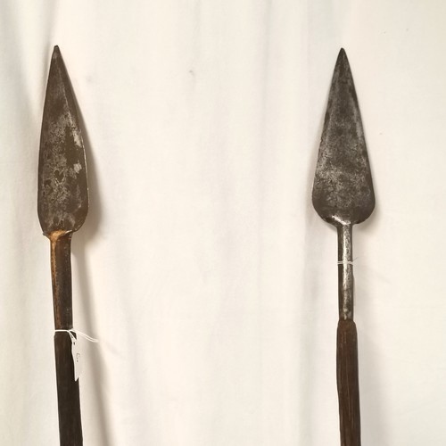 104 - 2 x antique Assam / Burmese Naga headhunter lance / spears with leaf steel heads and dyed goat hair ... 