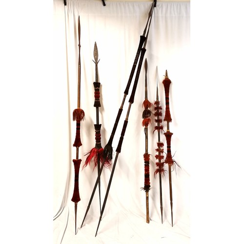 107 - 7 x antique Assam Burmese Naga headhunter spears / lances - longest 234cm ~ 1 lacks spearhead