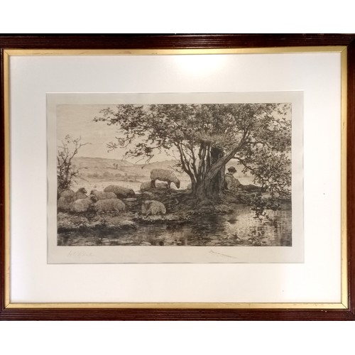 135 - Henry Robert Robertson (1839-1921) antique signed etching 'The sleeping shepherd' - frame 55cm x 71c... 