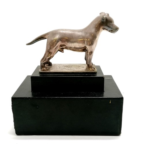 177 - Vintage Flagstaff trophy of a Staffordshire dog presented by Captain & Mrs Roger Fisher - 19cm high ... 