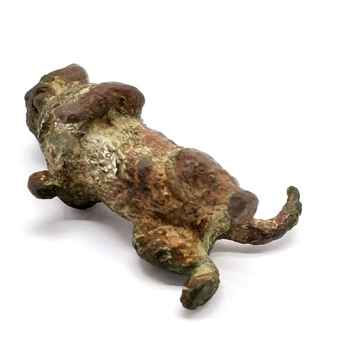 350 - Antique Austrian cold painted bronze study of a cat - 3.5cm tall and has losses to the paint