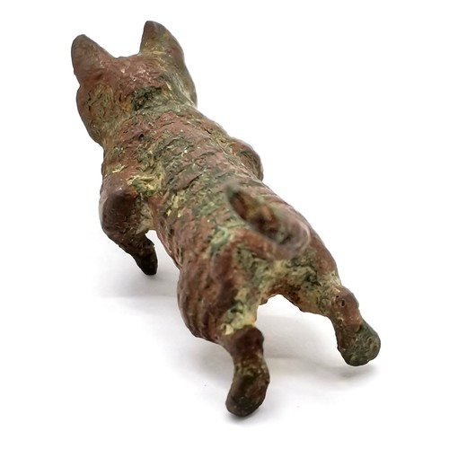 350 - Antique Austrian cold painted bronze study of a cat - 3.5cm tall and has losses to the paint