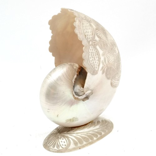 386 - Antique hand carved nautilus shell decoration - 19cm tall ~ slight a/f to base