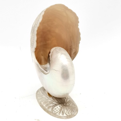 386 - Antique hand carved nautilus shell decoration - 19cm tall ~ slight a/f to base