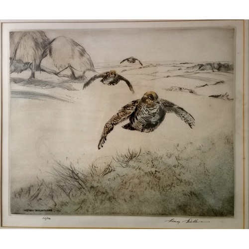 73 - 2 x Henry Wilkinson (1921-2011) signed etchings - dog with pheasant in mouth frame 52cm x 62cm