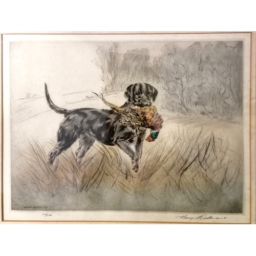 73 - 2 x Henry Wilkinson (1921-2011) signed etchings - dog with pheasant in mouth frame 52cm x 62cm