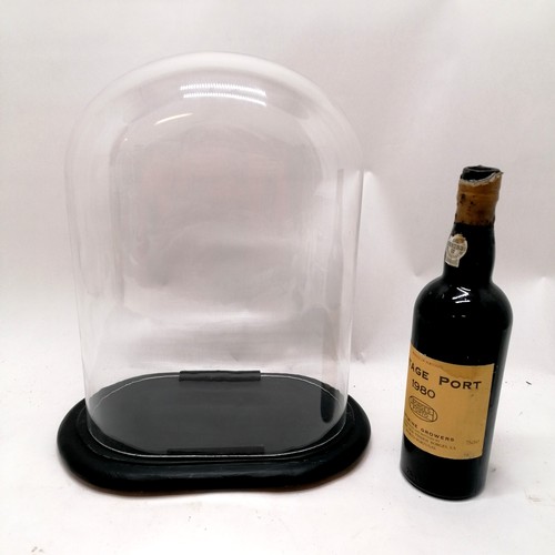 110 - Oval glass dome on ebonised stand - 37.5cm total height & 32cm wide (stand) (dome 34.5cm x 26.5cm x ... 