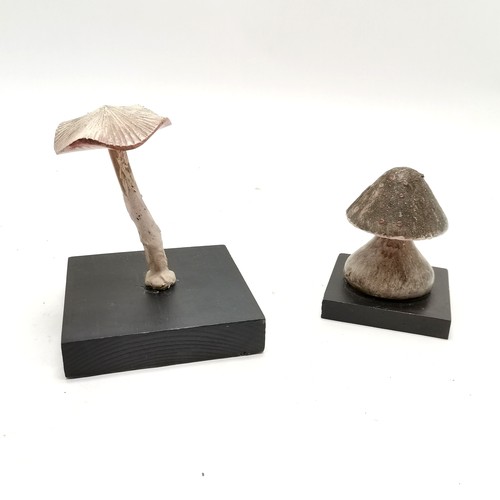 210 - 2 x carved wooden mushroom specimens - #177 & Lepiota (11.5cm high)