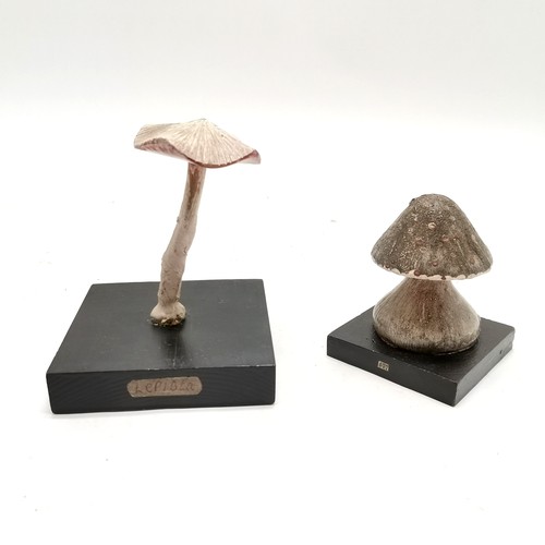 210 - 2 x carved wooden mushroom specimens - #177 & Lepiota (11.5cm high)