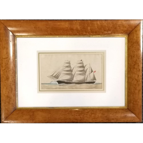 242 - Maritime painting of tall masted ship 'Windward' in a burr walnut frame - 47cm x 65.5cm and has some... 