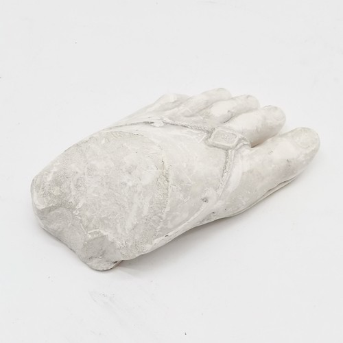 249 - Plaster model of a left foot - approx 16cm long (about 6