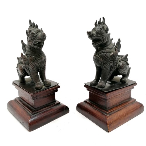 14 - Antique pair of C1900 Burmese Pegu bronze Chinthe mythical lions on wooden bases 16cm high x 9.5cm w... 