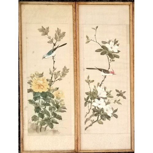 108 - 4 framed Chinese paintings on silk of birds and flowers - 45cm x 17cm - some foxing