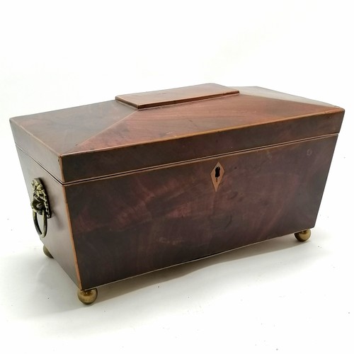 162 - Antique mahogany tea caddy with lion mask handles 31cm long x 18cm high x 15cm deep.  Missing it's m... 