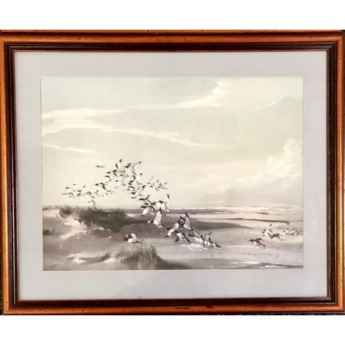 223 - 2 Framed prints by Vernon Ward of birds in flight - frame measures 52cm x 42cm