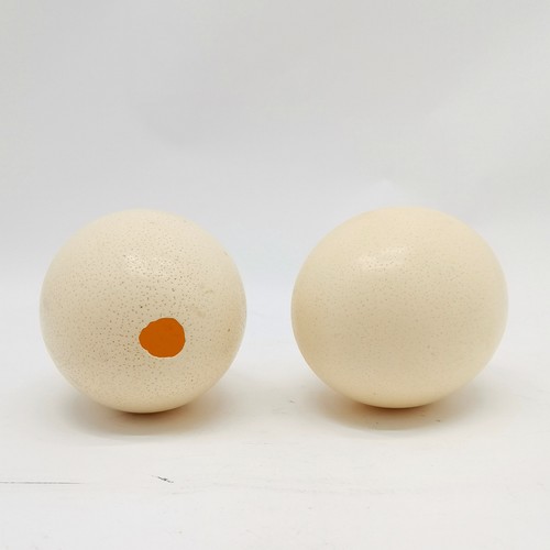 226 - 2 Ostrich eggs measuring approx 15cm high