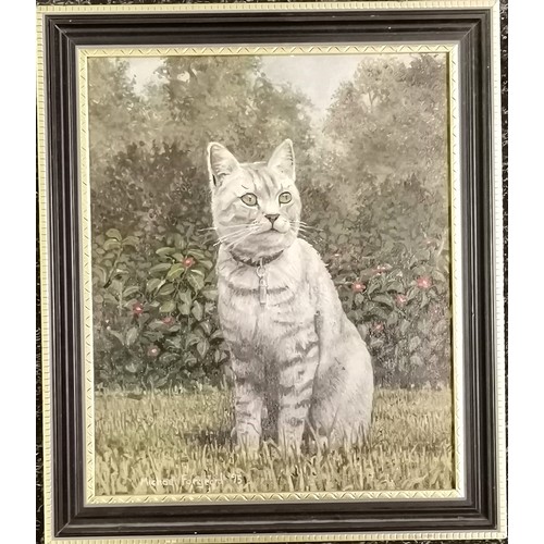 238 - Michael Forgeard framed oil painting of a grey Tabby cat 30cm x 35cm