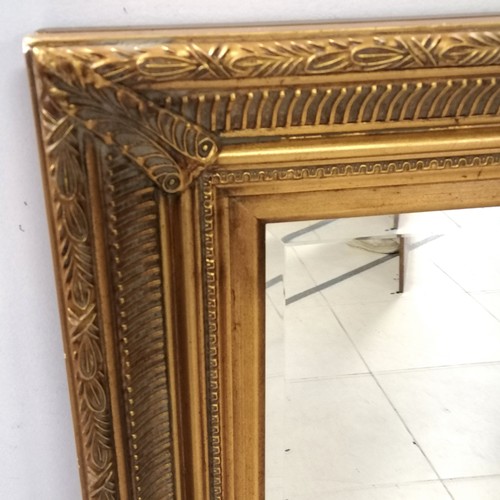 292 - Large gilt framed mirror with bevelled mirror - 61cm wide x 121cm high