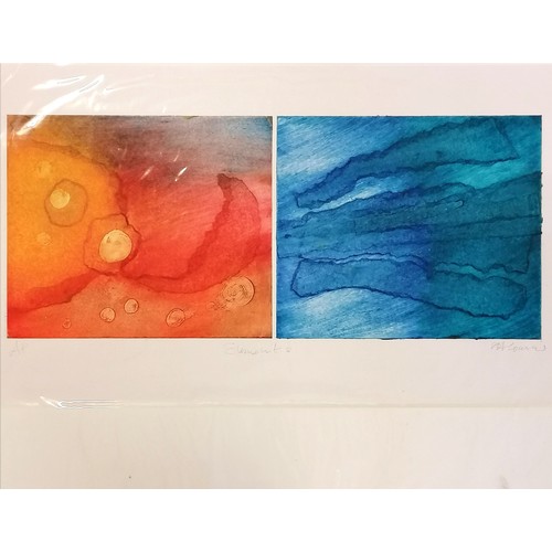 16 - Shirley Cousins artists proof print 'Elements' - mount 50cm x 77.5cm
