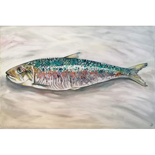 49 - Contemporary oil painting on canvas of a mackerel initialled S B unframed 60cm x 40cm.