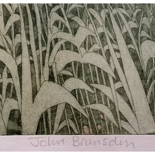 62 - John Brunsdon (1933-2014) signed engraving of 'Riverbank' from a ltd ed of 150 there is some discolo... 