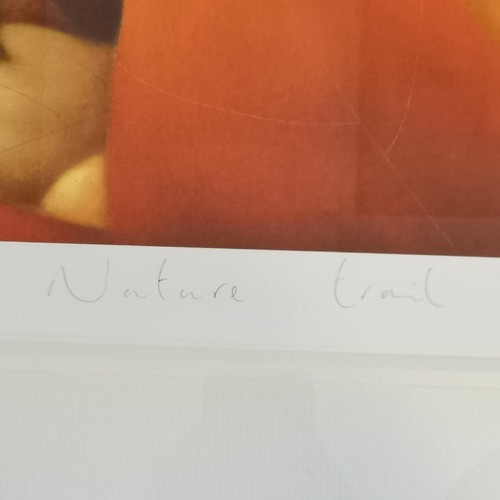 79 - Doug Hyde (b.1972) signed print 'Nature Trail' from ltd ed of 195 - frame 82cm x 95.5cm