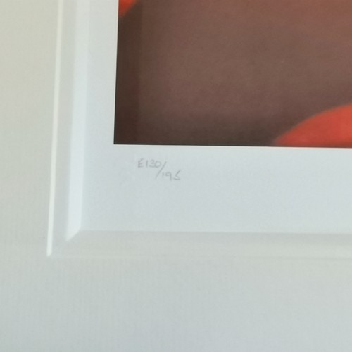 79 - Doug Hyde (b.1972) signed print 'Nature Trail' from ltd ed of 195 - frame 82cm x 95.5cm