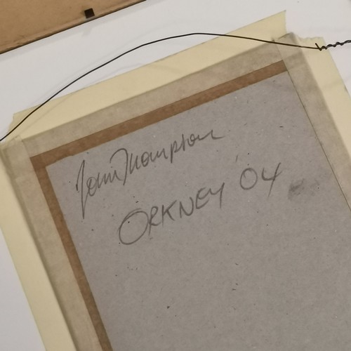 82 - John Thompson (1924-2011) painting on card of a bird (guillemot?) dated 2004 (Orkney) - frame 39cm x... 