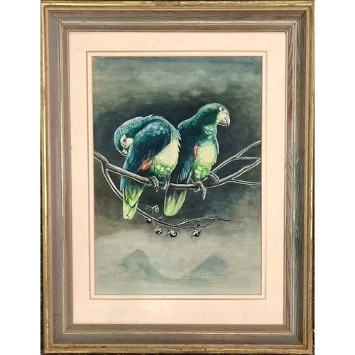 85 - Stuart Maxwell Armfield (1916-99) watercolour study of a pair of amazon parrots - frame 63cm x 49cm ... 