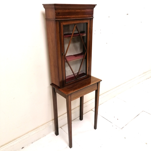 194 - Small antique mahogany glazed display cabinet on stand - 52cm x 32cm x 154cm