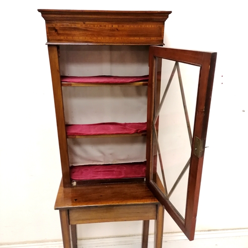194 - Small antique mahogany glazed display cabinet on stand - 52cm x 32cm x 154cm