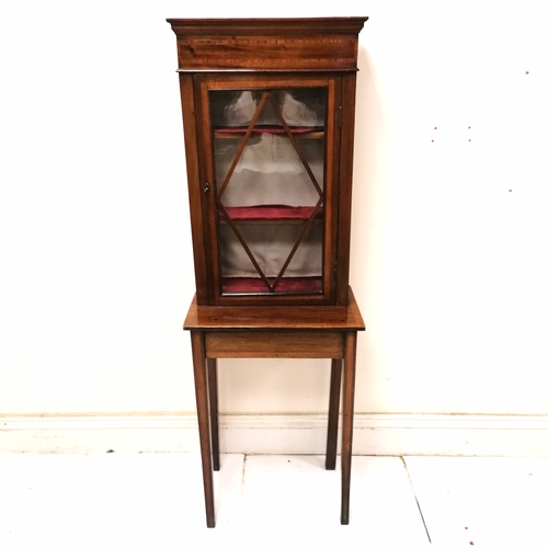 194 - Small antique mahogany glazed display cabinet on stand - 52cm x 32cm x 154cm