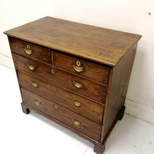 202 - Antique dark oak 2 over 3 chest of drawers on bracket feet with original brass drop handles - 96cm x... 