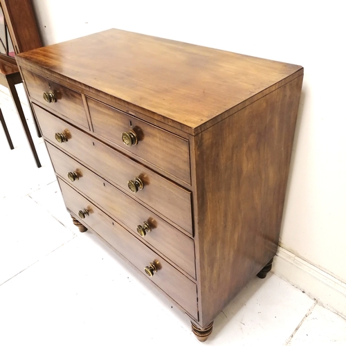 204 - Antique 2 over 3 drawer chest of drawers - 107cm x 53cm x 105cm