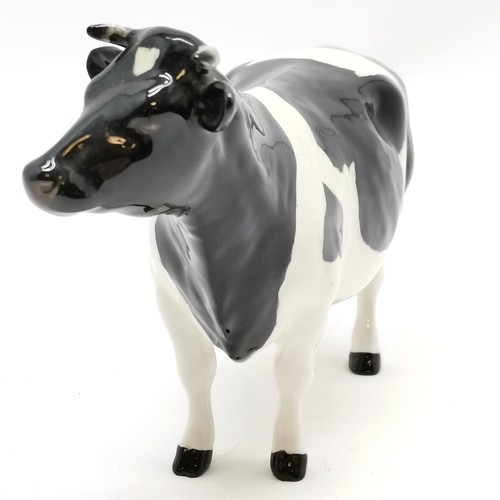 234 - Beswick friesian C.H Claybury Leegwater cow - 18cm across x 11.5cm high ~ no obvious damage