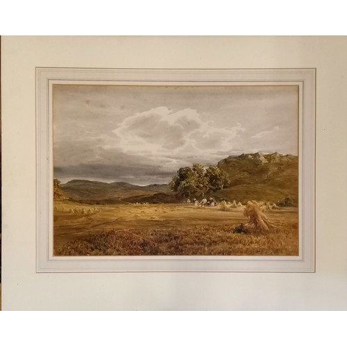 Lot 173       