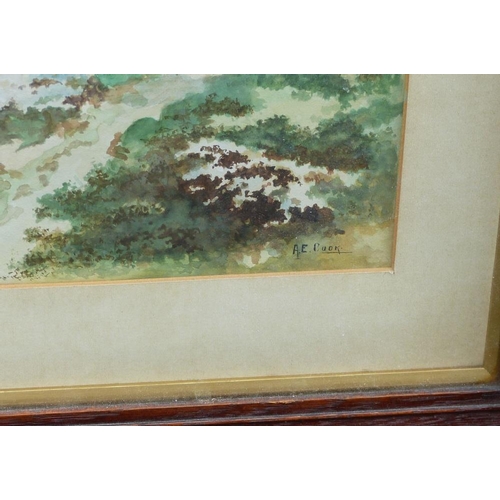 190 - A E Cook Watercolour depicting bay from wooded hilltop, signed, in oak frame, 33cm x 25cm