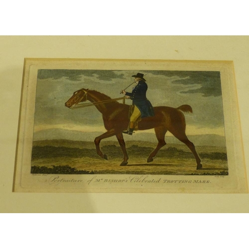 236 - An Antique Hand Coloured Engraving 