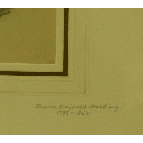 293 - James Duffield Harding Pencil and Heightened Sketch 