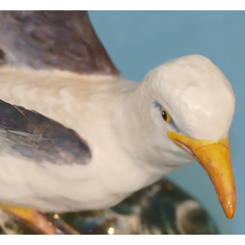 127 - A Crown Staffordshire Model of a seagull (beak and tip of wing restored and base cracked), 25cm wide... 