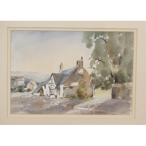 167 - Judi Whitton, 2 x Watercolours 