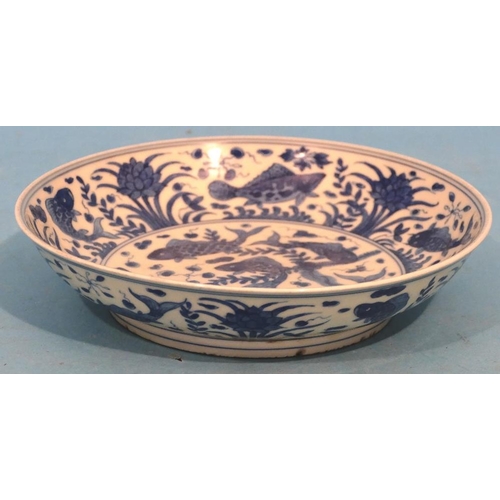 48 - An Oriental Blue and White Round Shallow Bowl having fish decoration, 19.5cm diameter.