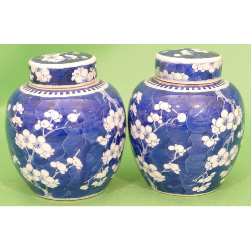 145 - A Pair of Oriental Blue and White Round Bulbous Shaped Lidded Ginger Jars having branch and blossom ... 