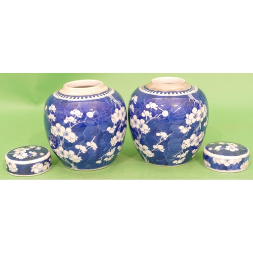 145 - A Pair of Oriental Blue and White Round Bulbous Shaped Lidded Ginger Jars having branch and blossom ... 