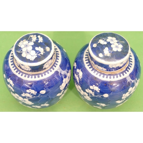 145 - A Pair of Oriental Blue and White Round Bulbous Shaped Lidded Ginger Jars having branch and blossom ... 