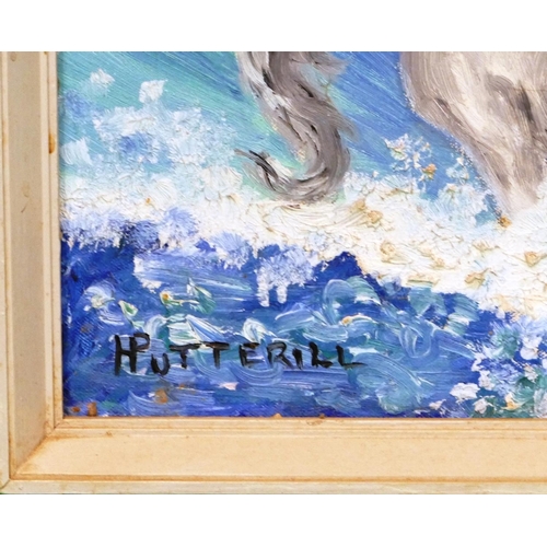 166 - H Putterill, Oil on Canvas depicting white stallions jumping waves, signed, in white painted frame, ... 