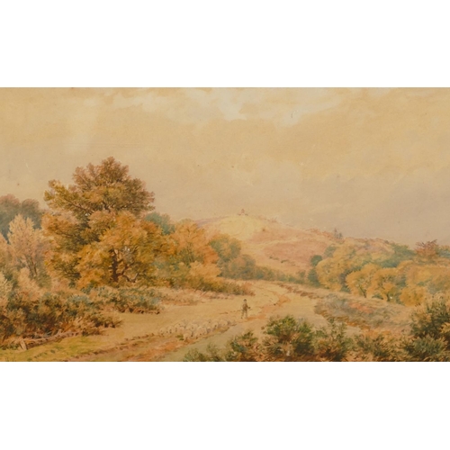 242 - J Matthews, 19th Century Watercolour depicting farmer and sheep, in wooded landscape, signed and dat... 