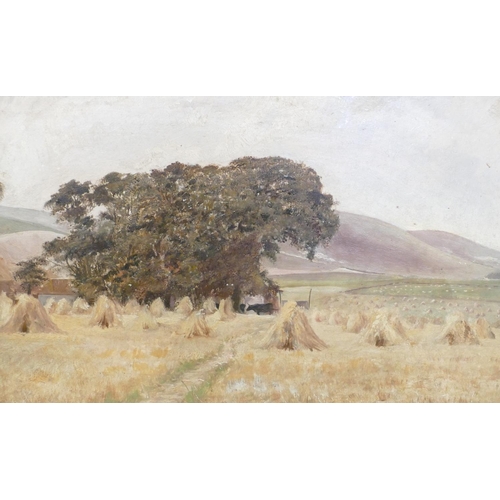 244 - An Oil on Board depicting haystacks in open landscape, unsigned, in gilt frame, 22cm x 34cm.